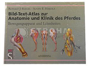 Atlas Pferdeanatomie